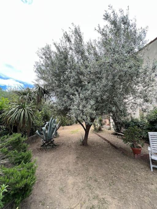 Maison De Village Vintage Avec Grand Jardin Elne Esterno foto